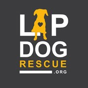 Lap Dog Rescue of NM